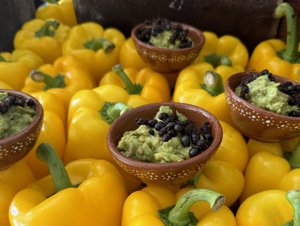 Xcaret Sunday Brunch guacamole with ants