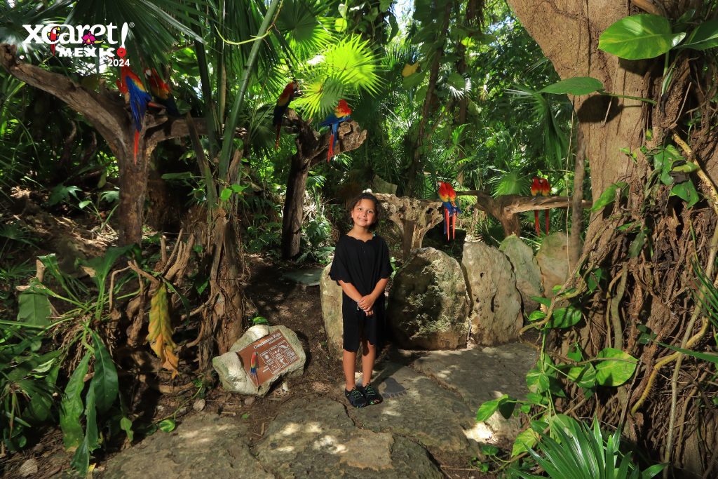 Macaws Xelfie spot